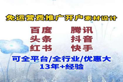 某知名品牌网络推广竞价全解析